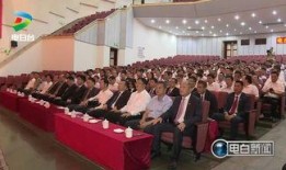 电白陈村新闻最新爆料,揭秘陈村最新发展动态与重大事件