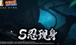 最新火影忍法帖忍者爆料,最新爆料揭示忍者世界新篇章