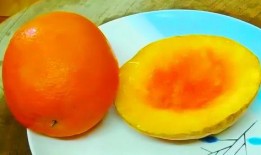 南瓜爆料视频大全最新,揭秘娱乐圈幕后真相