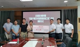 电白陈村新闻最新爆料,揭秘陈村最新发展动态与重大事件