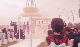 最新爆料汪小菲结婚视频,浪漫时刻感动无数网友