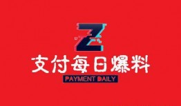 最新2.0支付行业爆料,揭秘最新爆料与未来趋势