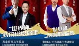 世界杯解说爆料最新视频,最新视频爆料背后的精彩瞬间