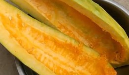 南瓜爆料视频大全最新,揭秘娱乐圈幕后真相